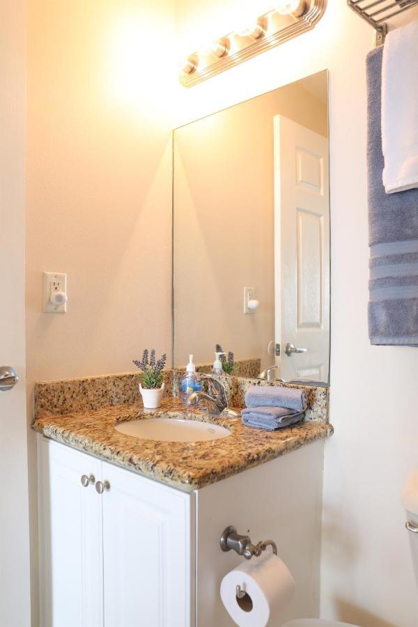 Dolphin Bay In Boca Ciega Resort - 2Br, Pool, Bay View سانت بطرسبرج المظهر الخارجي الصورة