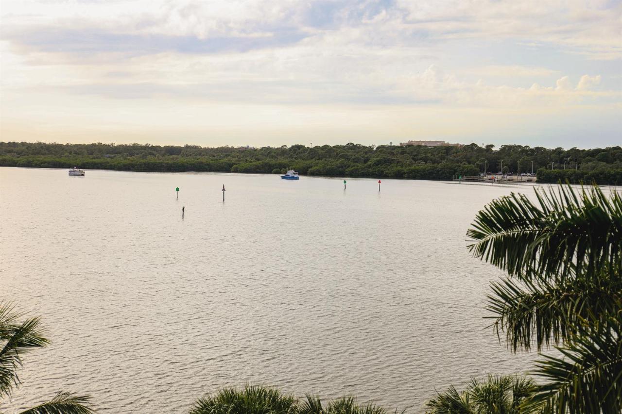 Dolphin Bay In Boca Ciega Resort - 2Br, Pool, Bay View سانت بطرسبرج المظهر الخارجي الصورة